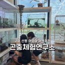 곤충연구소 실내 | 구미 산동 아이와함께 이색체험 곤충체험연구소 방문후기