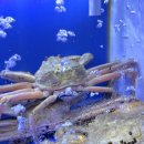 복수산해물탕 이미지