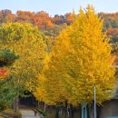 원미공원 이미지