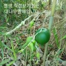 한국교육지도자협회