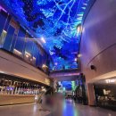 호텔오로라 이미지