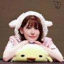BDM 이미지