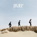 메이트(mate) 이미지
