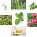 내츄럴휴 화장품 이미지