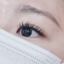 양산속눈썹 :: 미우살롱 양산점 촘촘하고 풍성해