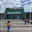 ㈜제주시엔투어 | 7월 제주도여행 아이랑 아쿠아플라넷 제주 특별전시전 오션아레나 관람 후기