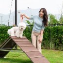 스타펫 이미지