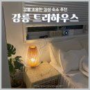 트리하우스 | [강릉] 강릉역 근처 조용한 감성 숙소 추천 :: 트리하우스 2층