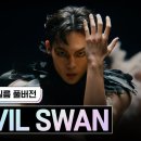 스테파 - 발레 댄스필름 Devil Swan (미연 - Swan) 이미지