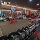 에프엠 퍼스널트레이닝 이미지