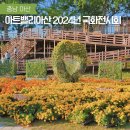 아트밸리 아산 2024년 국화전시회 방문 후기