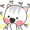 욜로-퀸 이미지