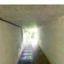 시골국수 이미지