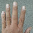 단양유기농원 이미지