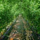 풍년농장 이미지