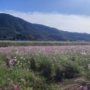 송도다올공인중개사사무소 이미지