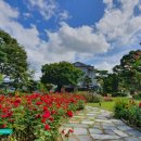 (주)블랙스톤리조트 이미지