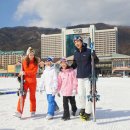 대명비발디파크 이미지