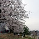원효당구장 네이버블로그