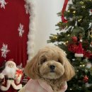 개스트하우스 청주점 이미지