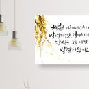 새나빛