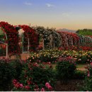 곡성-232 이미지