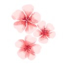 김제시청 이미지