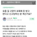 길고양이 팔다 신고당한 캣맘 이미지