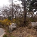 도립리 육괴정 이미지