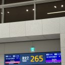 호주 시드니여행 패키지후기 1일차 퀘스트벨라비스타 호텔 버스요금