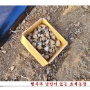 효세농장 이미지