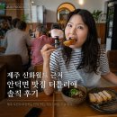 제주신화월드호텔 | 제주 신화월드 근처 안덕면 맛집 터틀리애 솔직 후기