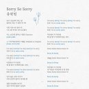 cignature(시그니처) - 'Sorry So Sorry' 응원법 이미지