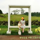 미소체험
