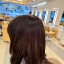제주 연동미용실 50대 여자 커트 헤어스케치 연동 본점 정창주 대표님 커트 후기