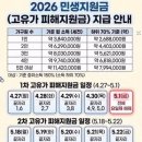 신가네청과