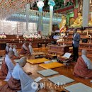 정토 교학의 원류를 찾아서 이미지