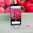 백억농장 | 성수 팝업스토어 성수놀거리 추천 T 팩토리 SKT S26 마켓 후기