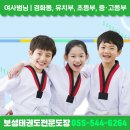 보성태권도전문도장 네이버블로그