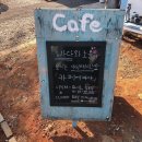 에바다애견 이미지