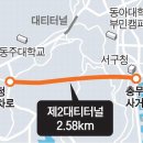 대티 이미지