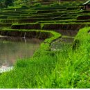 성토목장 이미지