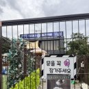 옥자네애견카페 유치원 호텔 미용 이미지