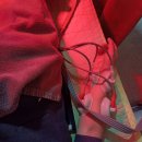 달치즈디자인 이미지