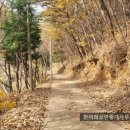 경남고성부동산전원주택매매 고성읍 외곽 넓은 마당과 텃밭이 있는 전원주택매매 1771제곱미터 (536) 이미지