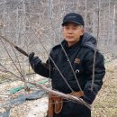 김재인