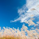 나드리김밥 평리점 이미지