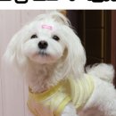 보리맘 이미지