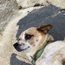 용담댐하늘펜션 이미지