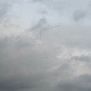 당진해양캠핑공원 | 당진해양캠핑공원🏕️┃모든 끼니 외식ㅋㅋ┃초겨울에 올만해┃넓고 친절, 산책로, 주변식당 🌊